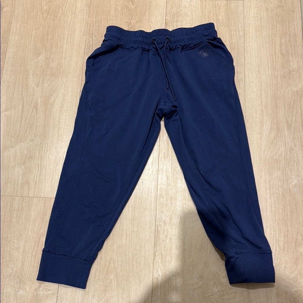 The North Face Blue Jogger Sweatpants